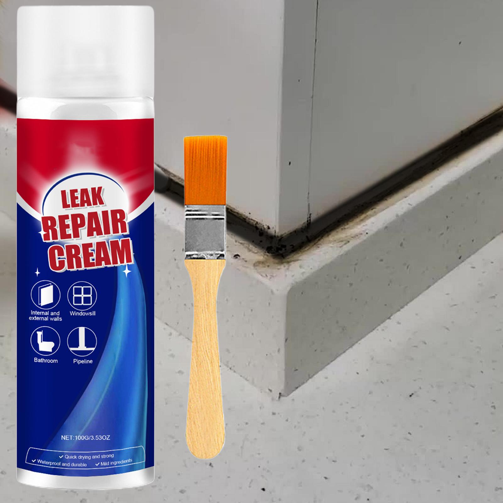 100ml Lekkage Reparatie Waterd - Roof Sealant Patch recensie en prijs